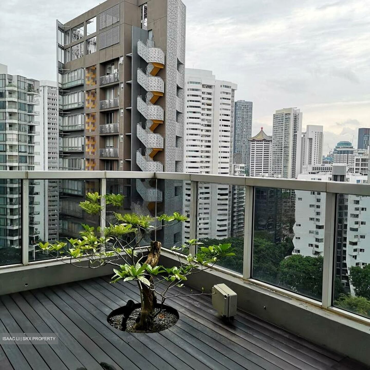 The Peak @ Cairnhill I (D9), Apartment #457431281